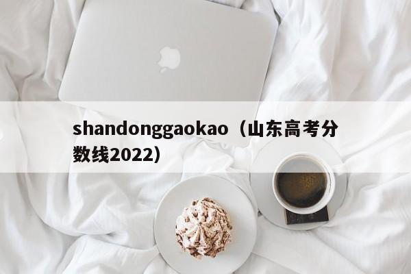 shandonggaokao（山东高考分数线2022）-第1张图片