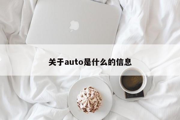 关于auto是什么的信息-第1张图片