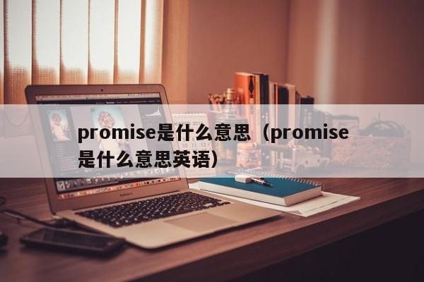 promise是什么意思（promise是什么意思英语）-第1张图片