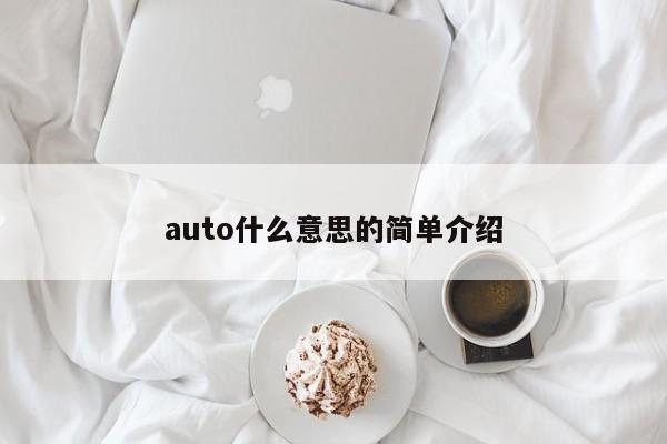 auto什么意思的简单介绍-第1张图片