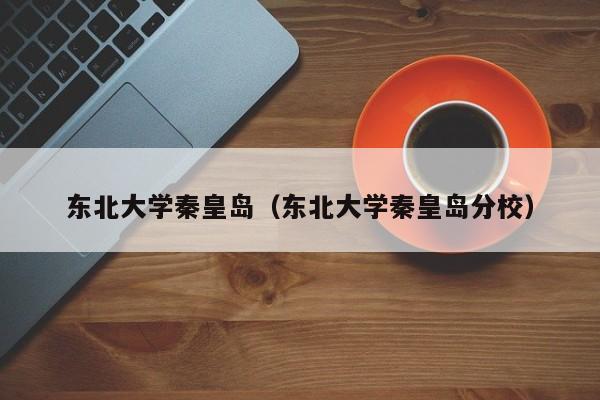 东北大学秦皇岛（东北大学秦皇岛分校）-第1张图片