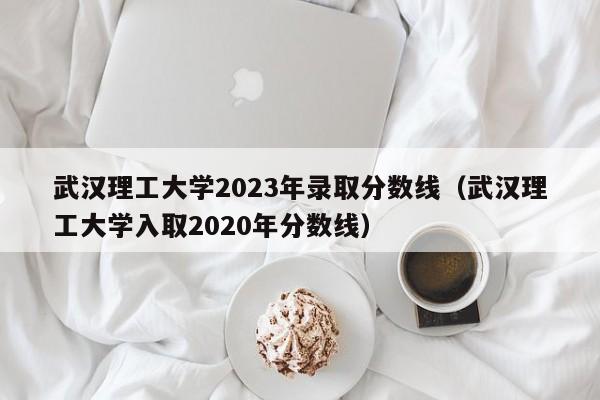 武汉理工大学2023年录取分数线（武汉理工大学入取2020年分数线）-第1张图片