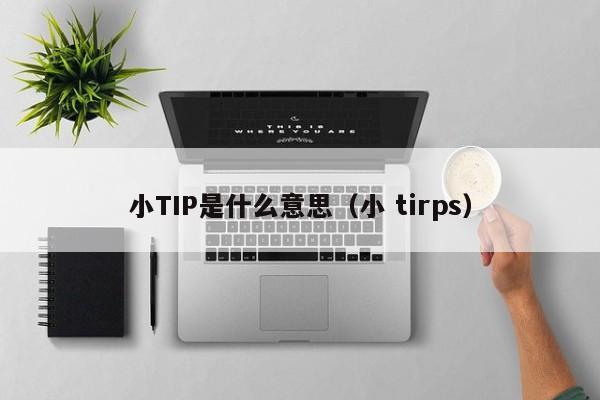 小TIP是什么意思（小 tirps）-第1张图片