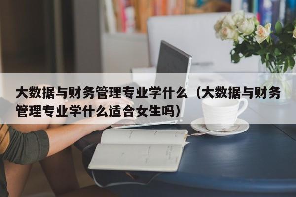 大数据与财务管理专业学什么（大数据与财务管理专业学什么适合女生吗）-第1张图片