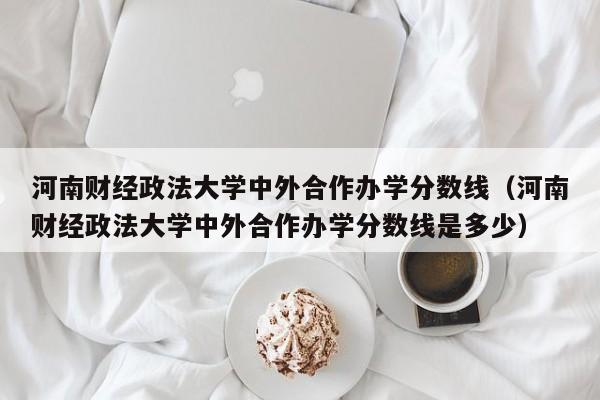 河南财经政法大学中外合作办学分数线（河南财经政法大学中外合作办学分数线是多少）-第1张图片