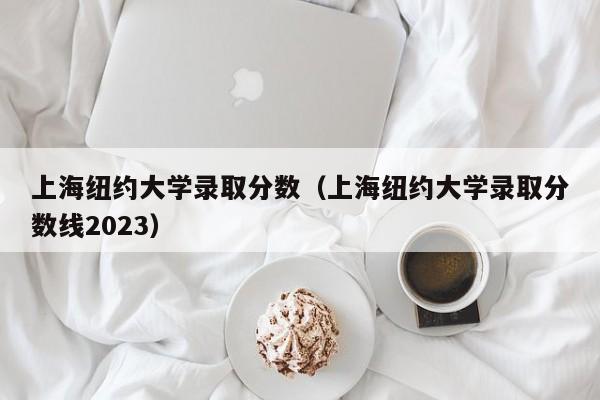 上海纽约大学录取分数（上海纽约大学录取分数线2023）-第1张图片