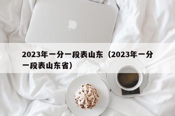 2023年一分一段表山东（2023年一分一段表山东省）-第1张图片