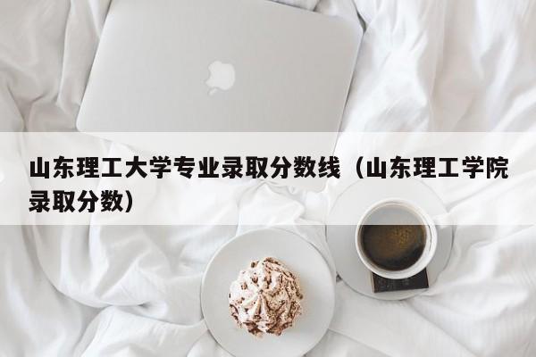 山东理工大学专业录取分数线（山东理工学院录取分数）-第1张图片