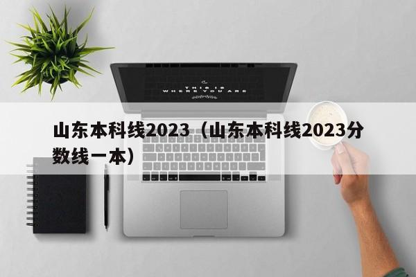 山东本科线2023（山东本科线2023分数线一本）-第1张图片