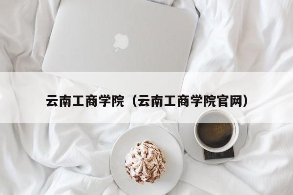 云南工商学院（云南工商学院官网）-第1张图片