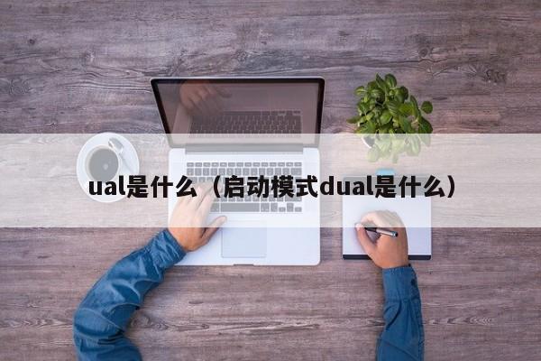 ual是什么（启动模式dual是什么）-第1张图片