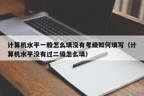 计算机水平一般怎么填没有考级如何填写（计算机水平没有过二级怎么填）-第1张图片