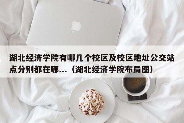 湖北经济学院有哪几个校区及校区地址公交站点分别都在哪...（湖北经济学院布局图）-第1张图片