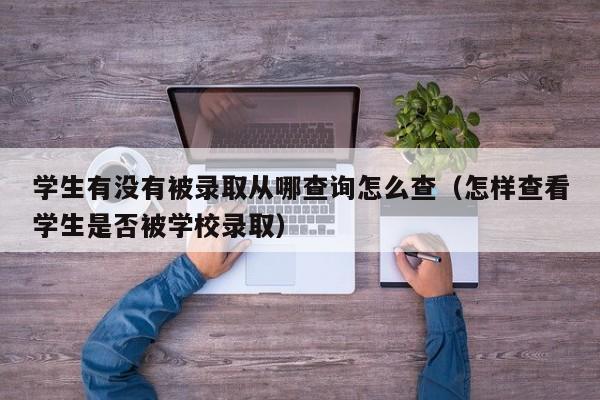 学生有没有被录取从哪查询怎么查（怎样查看学生是否被学校录取）-第1张图片