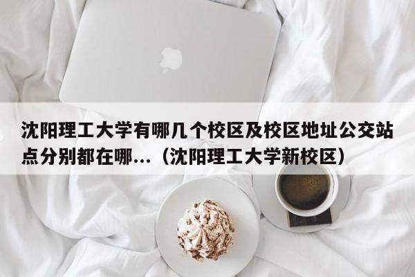 沈阳理工大学有哪几个校区及校区地址公交站点分别都在哪...（沈阳理工大学新校区）-第1张图片