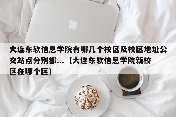 大连东软信息学院有哪几个校区及校区地址公交站点分别都...（大连东软信息学院新校区在哪个区）-第1张图片