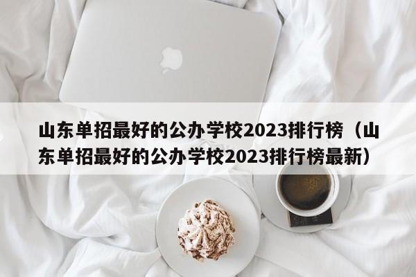 山东单招最好的公办学校2023排行榜（山东单招最好的公办学校2023排行榜最新）-第1张图片