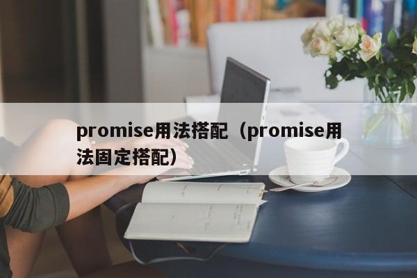 promise用法搭配（promise用法固定搭配）-第1张图片