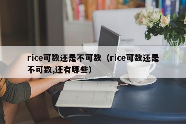 rice可数还是不可数（rice可数还是不可数,还有哪些）-第1张图片