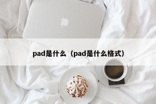 pad是什么（pad是什么格式）-第1张图片