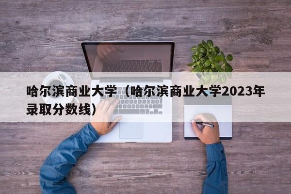 哈尔滨商业大学（哈尔滨商业大学2023年录取分数线）-第1张图片