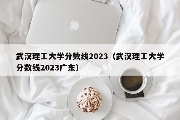 武汉理工大学分数线2023（武汉理工大学分数线2023广东）-第1张图片