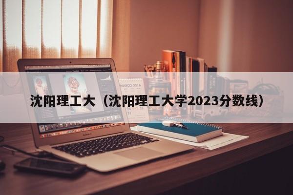 沈阳理工大（沈阳理工大学2023分数线）-第1张图片