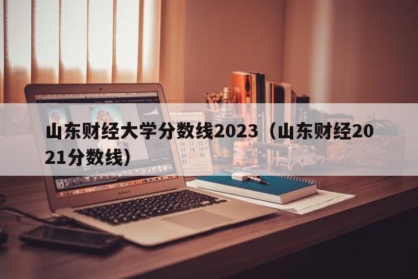 山东财经大学分数线2023（山东财经2021分数线）-第1张图片