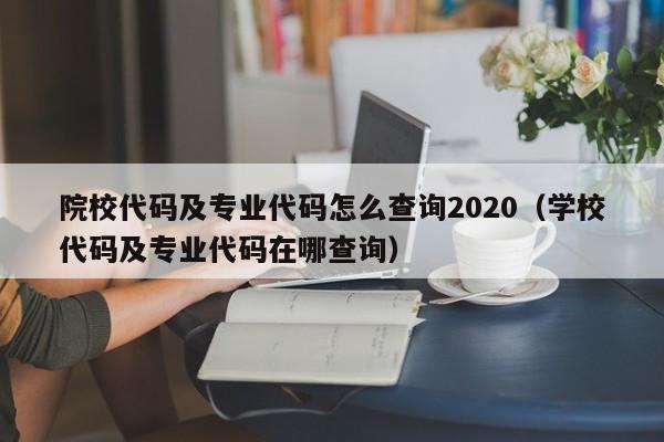 院校代码及专业代码怎么查询2020（学校代码及专业代码在哪查询）-第1张图片