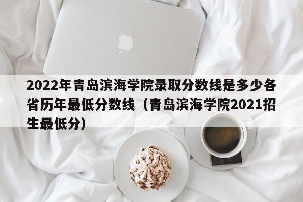 2022年青岛滨海学院录取分数线是多少各省历年最低分数线（青岛滨海学院2021招生最低分）-第1张图片