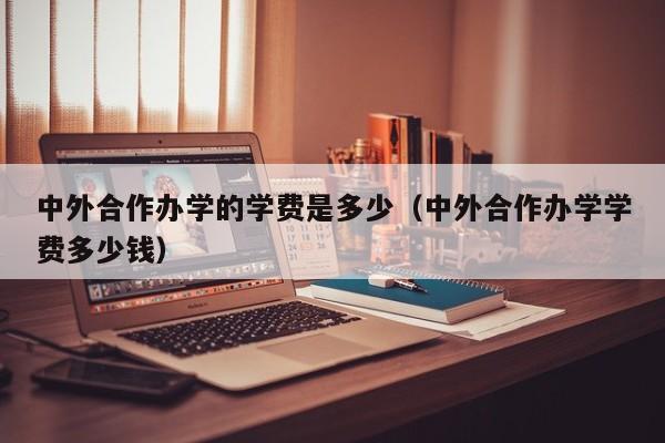 中外合作办学的学费是多少（中外合作办学学费多少钱）-第1张图片