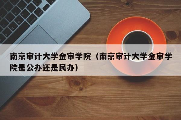 南京审计大学金审学院（南京审计大学金审学院是公办还是民办）-第1张图片