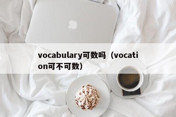 vocabulary可数吗（vocation可不可数）-第1张图片