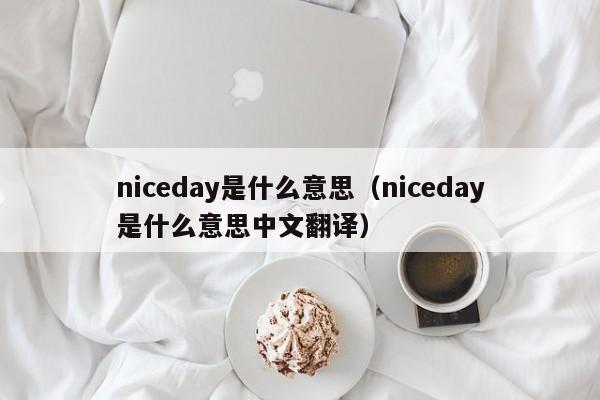 niceday是什么意思（niceday是什么意思中文翻译）-第1张图片