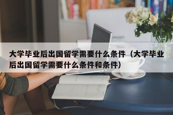 大学毕业后出国留学需要什么条件（大学毕业后出国留学需要什么条件和条件）-第1张图片