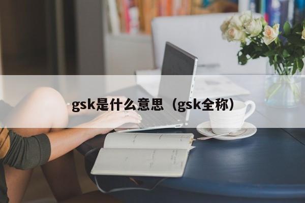 gsk是什么意思（gsk全称）-第1张图片