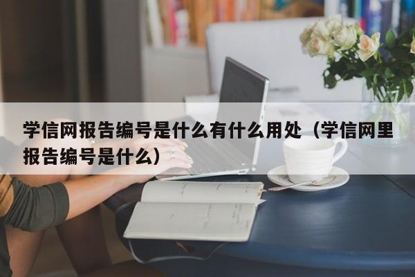 学信网报告编号是什么有什么用处（学信网里报告编号是什么）-第1张图片