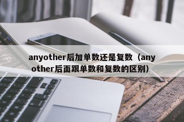 anyother后加单数还是复数（any other后面跟单数和复数的区别）-第1张图片