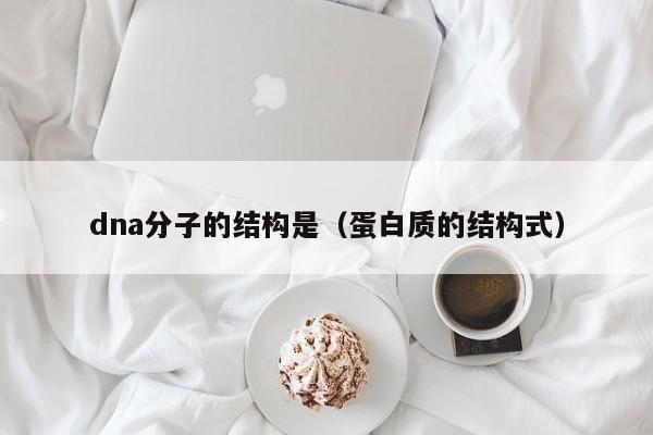 dna分子的结构是（蛋白质的结构式）-第1张图片