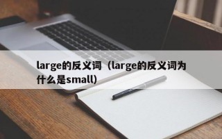 large的反义词（large的反义词为什么是small）