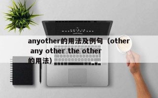 anyother的用法及例句（other any other the other的用法）