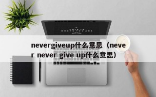 nevergiveup什么意思（never never give up什么意思）