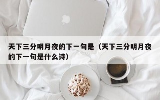 天下三分明月夜的下一句是（天下三分明月夜的下一句是什么诗）